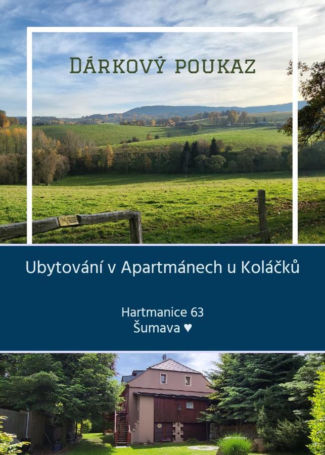 Apartmány u Koláčků Hartmanice  Exterior foto